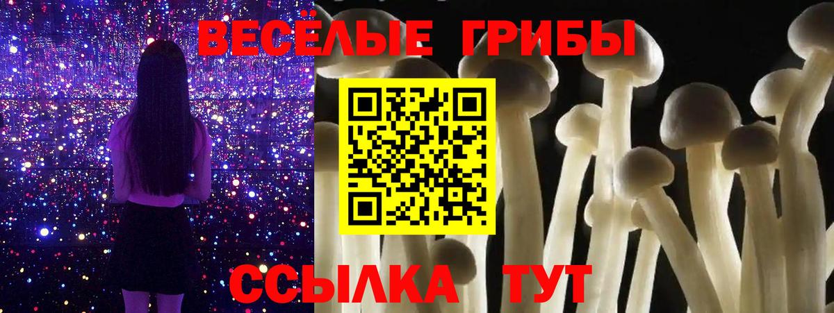 даркнет сайт  Вход с VPN  Мурино  Галлюциногенные грибы GOLDEN TEACHER 