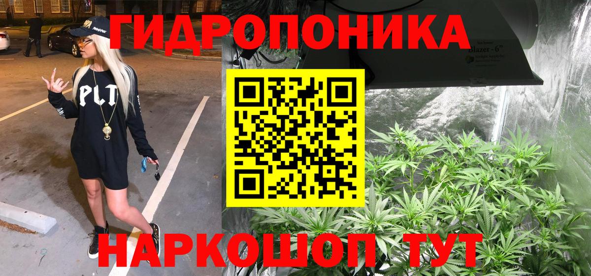 Канабис семена  Каннабис план  Вход с VPN  Каннабис конопля  Мурино 